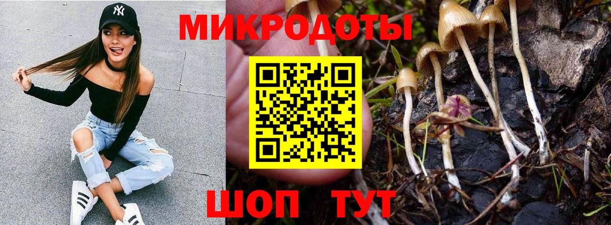 Псилоцибиновые грибы Psilocybe  Вход с VPN  Реж 